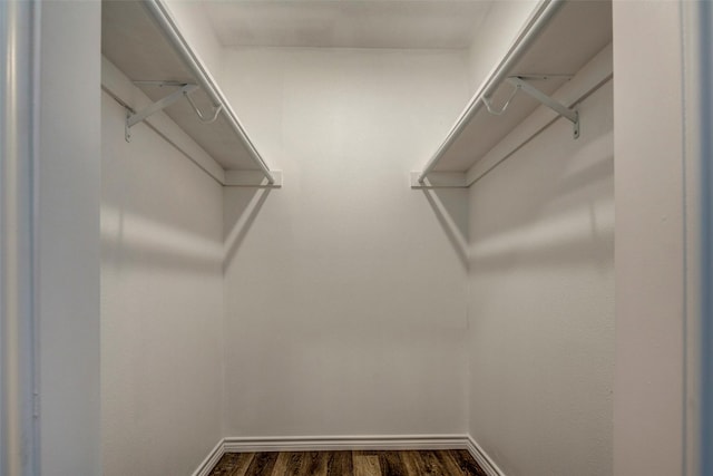 spacious closet with dark hardwood / wood-style floors