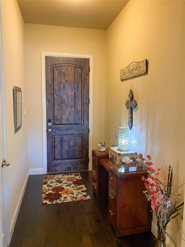 foyer entrance with dark hardwood / wood-style flooring