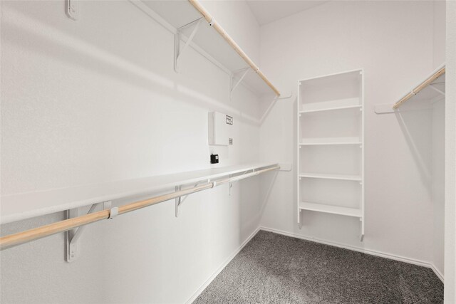 spacious closet featuring carpet flooring