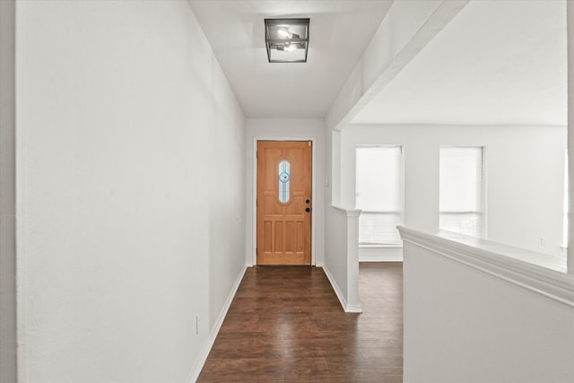 foyer featuring dark hardwood / wood-style floors