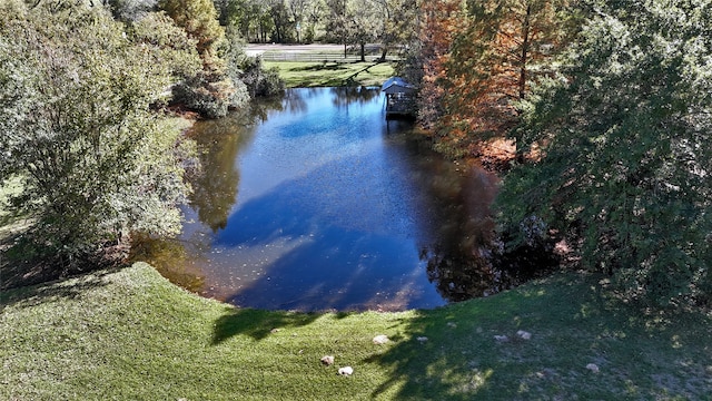 view of water feature