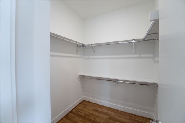 spacious closet featuring dark hardwood / wood-style floors