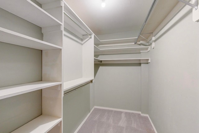 spacious closet with carpet flooring