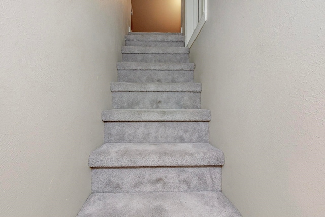 staircase featuring carpet flooring