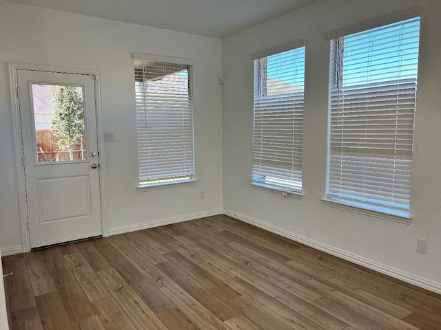 interior space with wood-type flooring