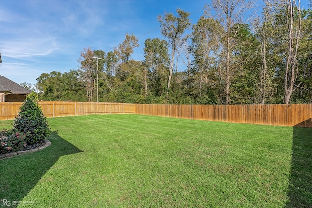 view of yard