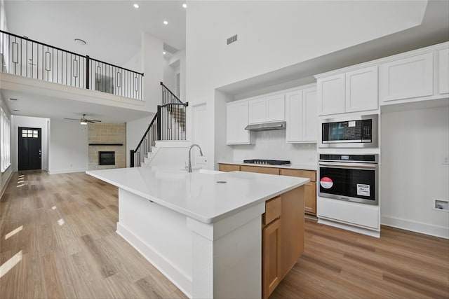 4182 Carter Ct, Denison, TX 75020 - kitchen featuring stainless steel appliances, a high ceiling, a fireplace, light wood-style floors, and light countertops