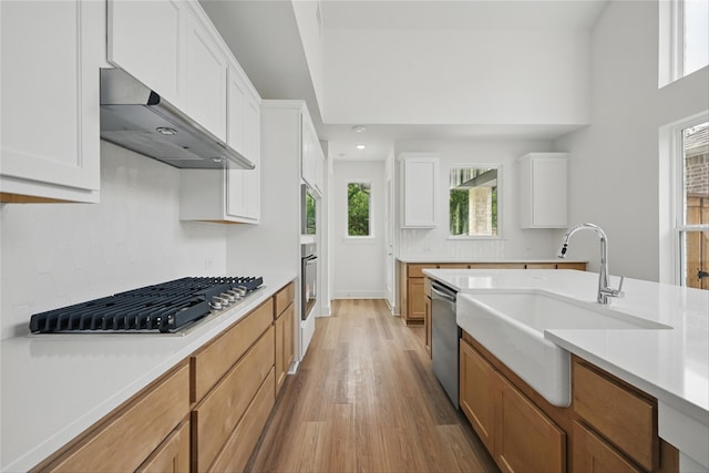 4182 Carter Ct, Denison, TX 75020 - kitchen with under cabinet range hood, a sink, stainless steel appliances, light wood-style flooring, and light countertops