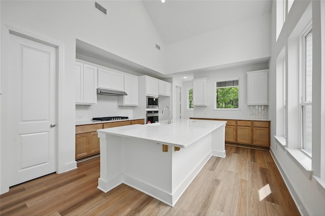 4182 Carter Ct, Denison, TX 75020 - kitchen featuring stainless steel appliances, light wood-style flooring, light countertops, under cabinet range hood, and high vaulted ceiling