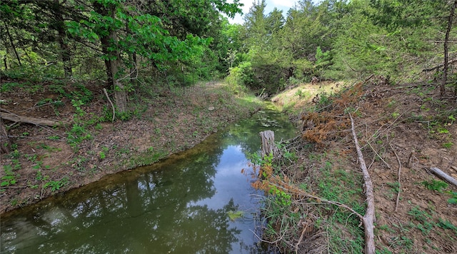 view of landscape featuring a water view