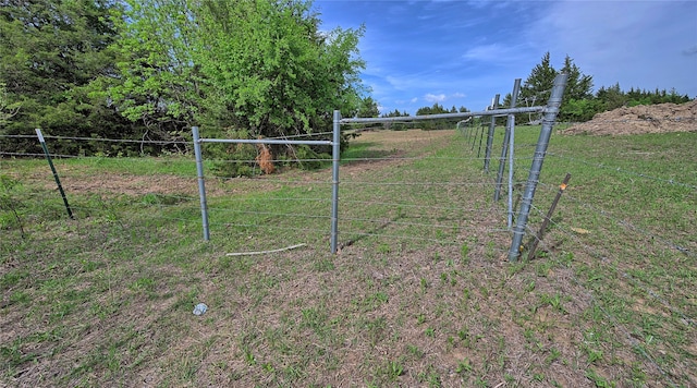 view of yard featuring a rural view