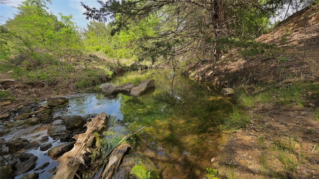 view of nature