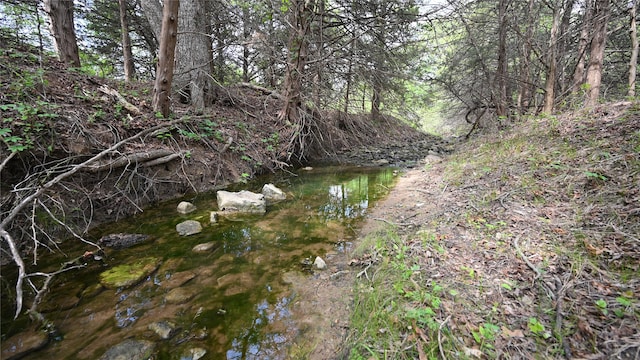 view of nature