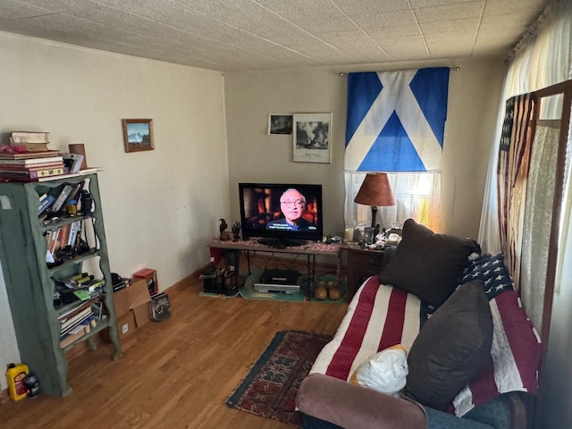 living room featuring hardwood / wood-style floors