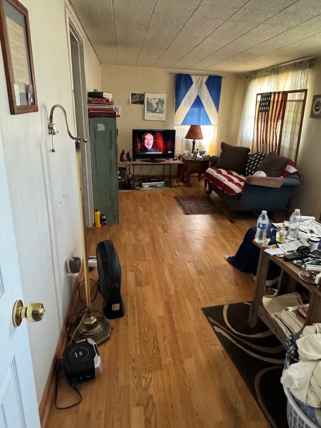 living room featuring wood-type flooring