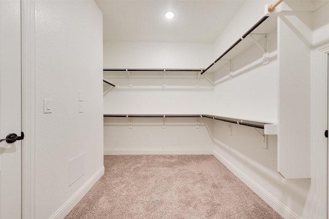 spacious closet with light carpet