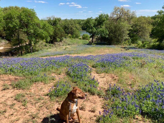 Listing photo 2 for 8850 Massey Rd, Granbury TX 76049