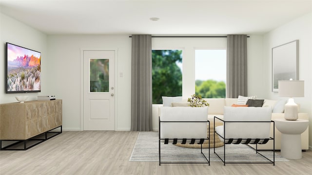 living room featuring light hardwood / wood-style floors