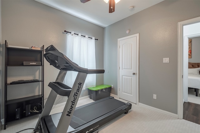 workout room with ceiling fan and carpet floors