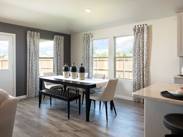 dining space with hardwood / wood-style flooring and a healthy amount of sunlight