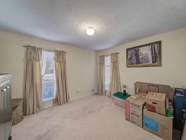 carpeted bedroom with a textured ceiling