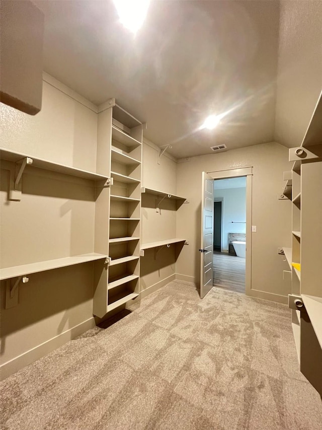 spacious closet with carpet flooring