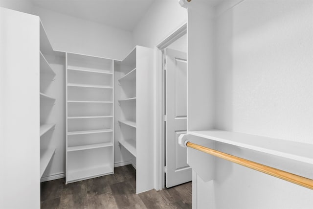 walk in closet with dark hardwood / wood-style flooring