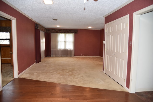 hallway with carpet, ornamental molding, and a textured ceiling