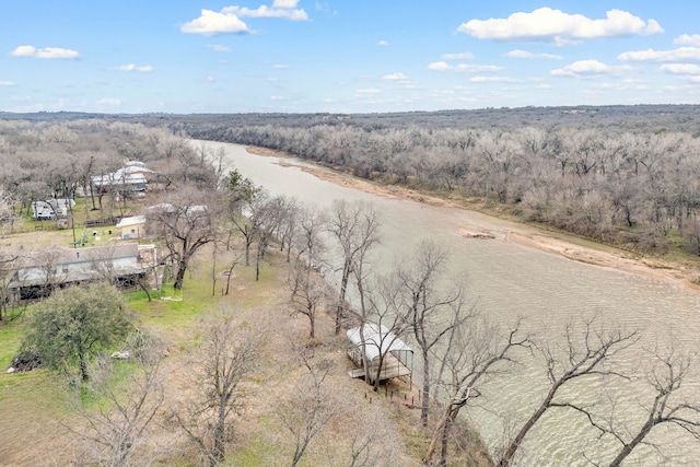 bird's eye view with a wooded view