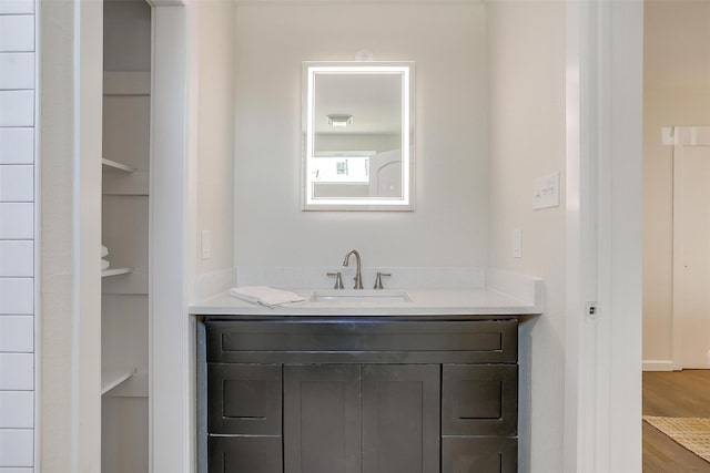 bathroom featuring wood finished floors and vanity