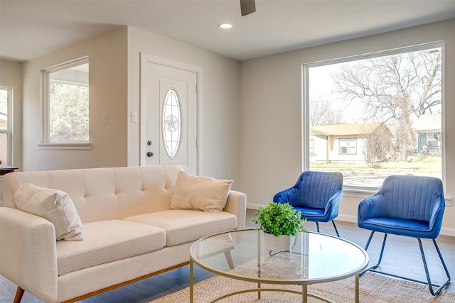 living room with baseboards, wood finished floors, and a healthy amount of sunlight