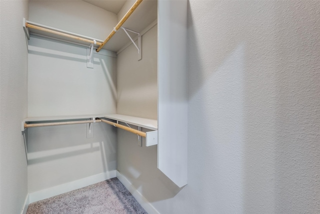 spacious closet featuring light carpet