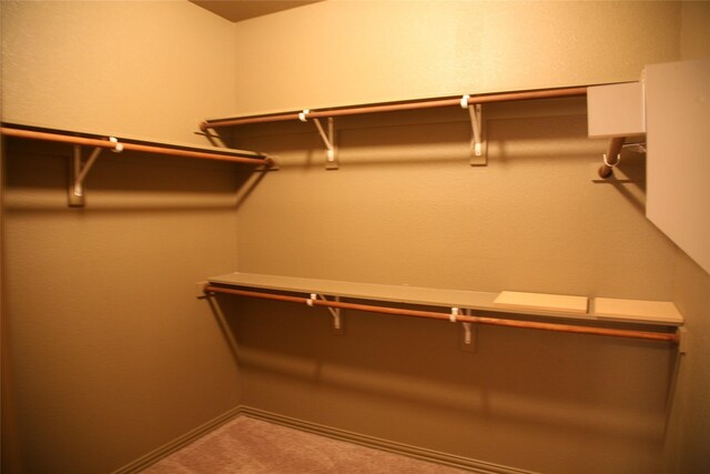 10133 Sanden, Mckinney, TX 75072 - view of spacious closet