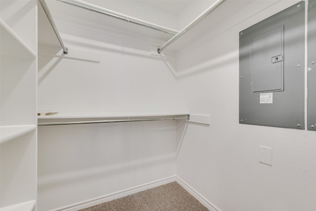 walk in closet with carpet flooring and electric panel