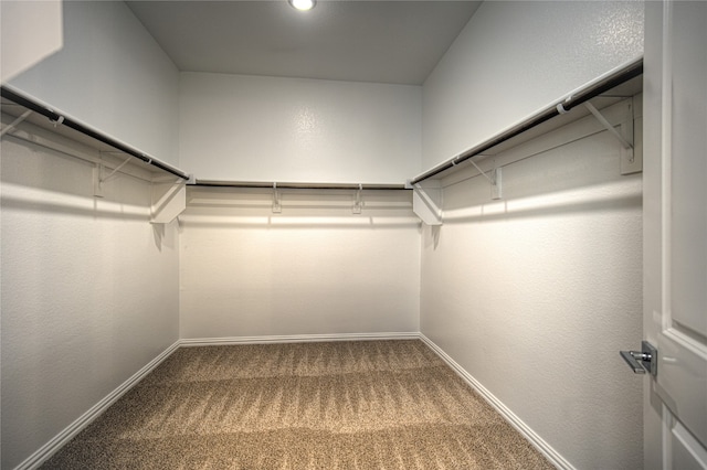 spacious closet with carpet