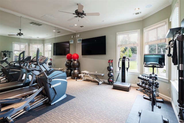 gym featuring carpet flooring, ornamental molding, and a healthy amount of sunlight