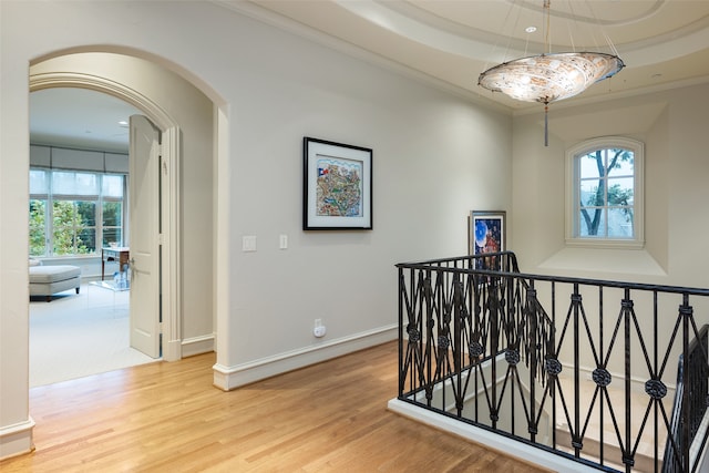 hall featuring a tray ceiling, ornamental molding, and hardwood / wood-style flooring