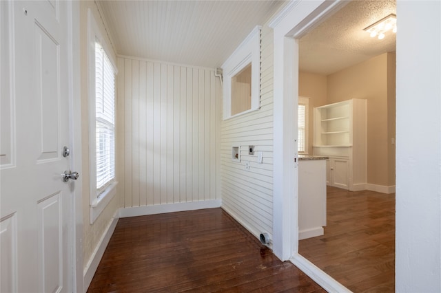 interior space featuring wooden walls, plenty of natural light, and dark wood-type flooring