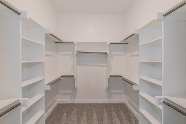 walk in closet with carpet flooring