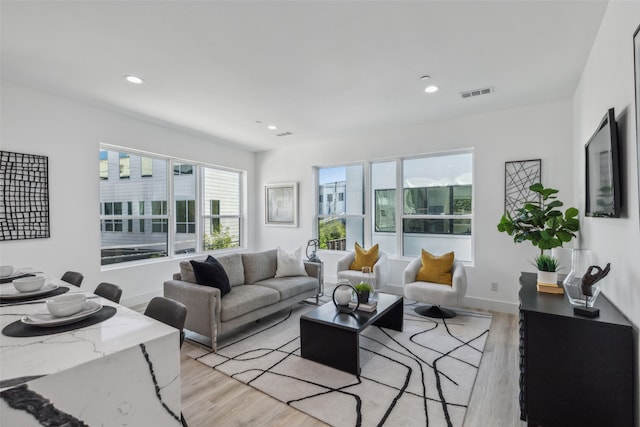 living room featuring light wood-type flooring