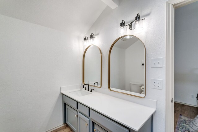 bathroom with toilet, vanity, hardwood / wood-style flooring, and vaulted ceiling