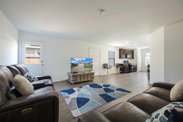 living room with hardwood / wood-style floors