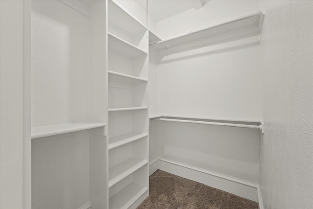 spacious closet with carpet