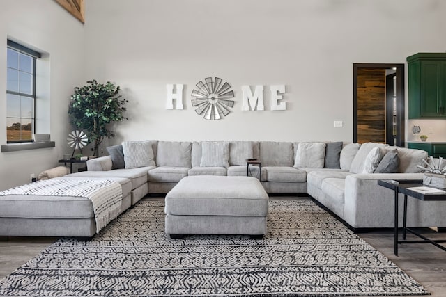 living room featuring a high ceiling and hardwood / wood-style flooring