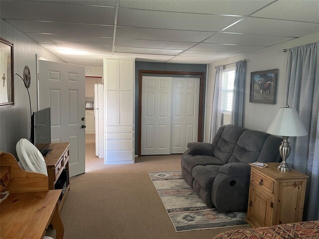 carpeted living room with a paneled ceiling