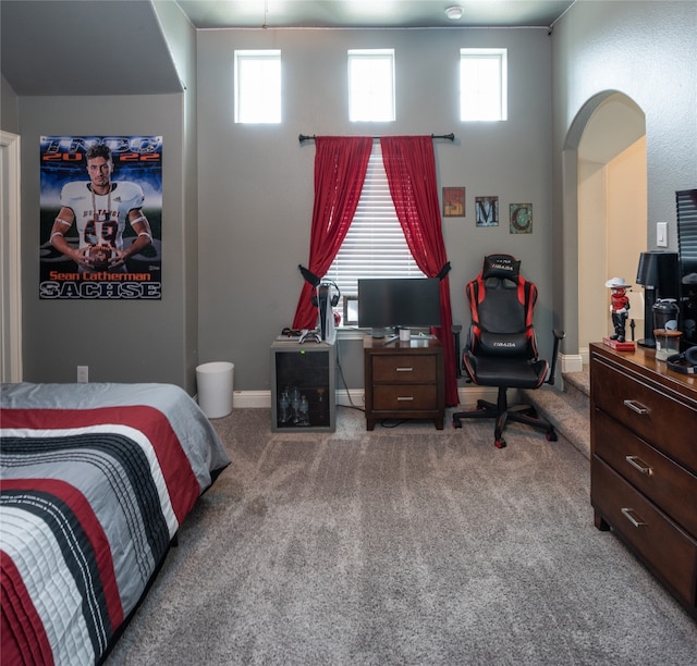 bedroom with carpet flooring