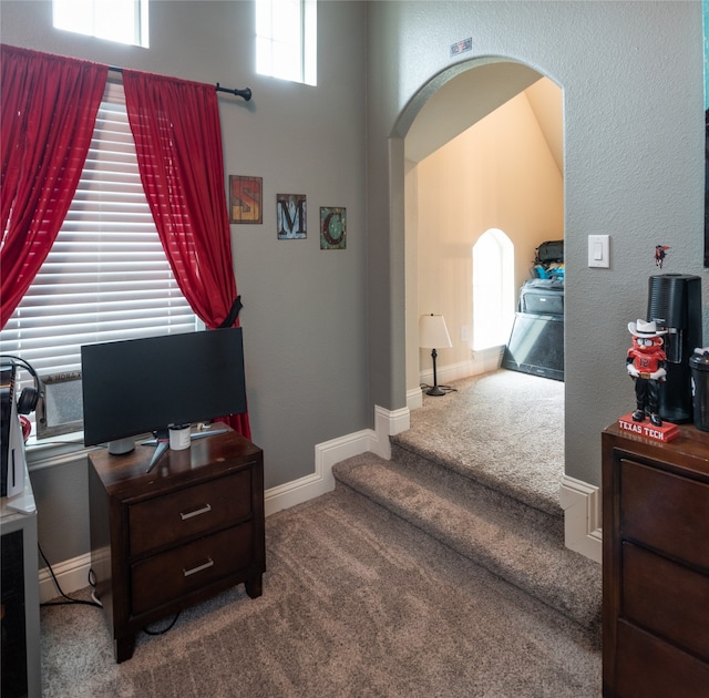 interior space featuring a wealth of natural light and carpet