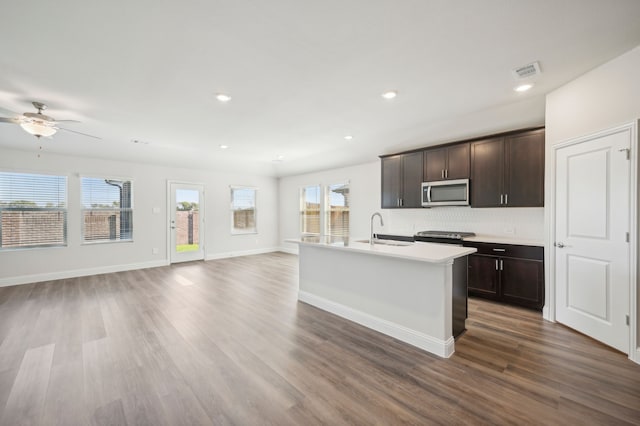 kitchen featuring a healthy amount of sunlight, stainless steel appliances, and dark wood-type flooring