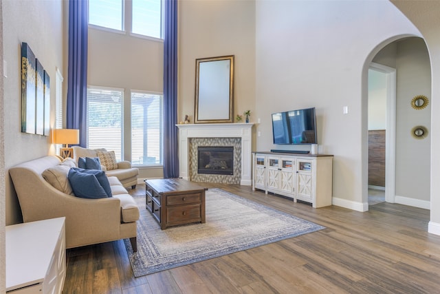 living room featuring a high ceiling and hardwood / wood-style flooring