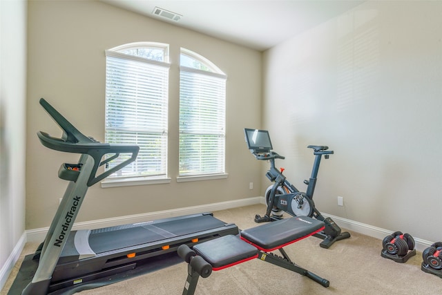 exercise room featuring carpet flooring